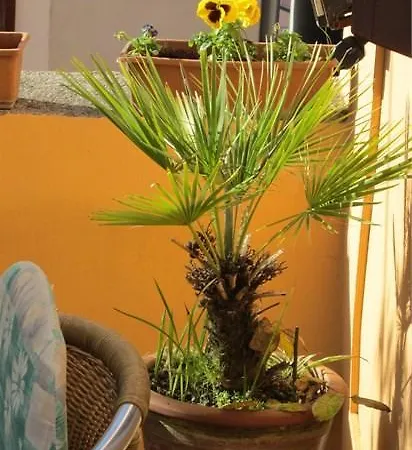 Melita Apartment *